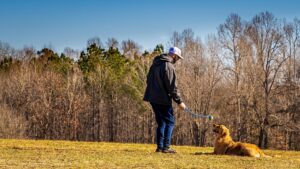 Man training a dog